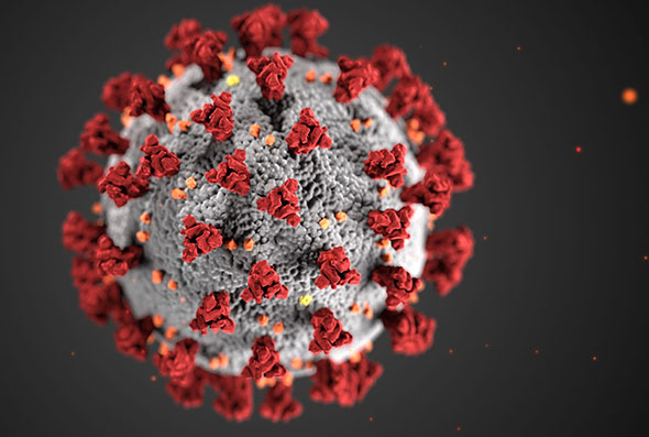 Events_COVID19 COVID-19 Virus