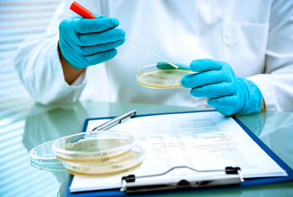 Scientist with petri dishes