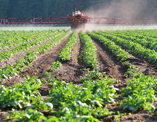 Pesticides