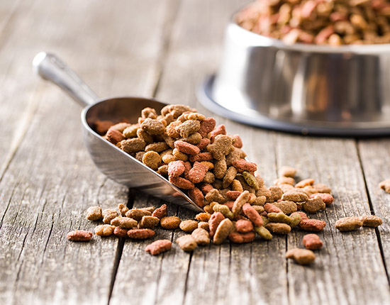 Animal Feed