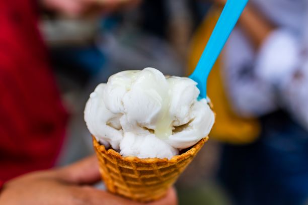 Plant-Based Ice Cream