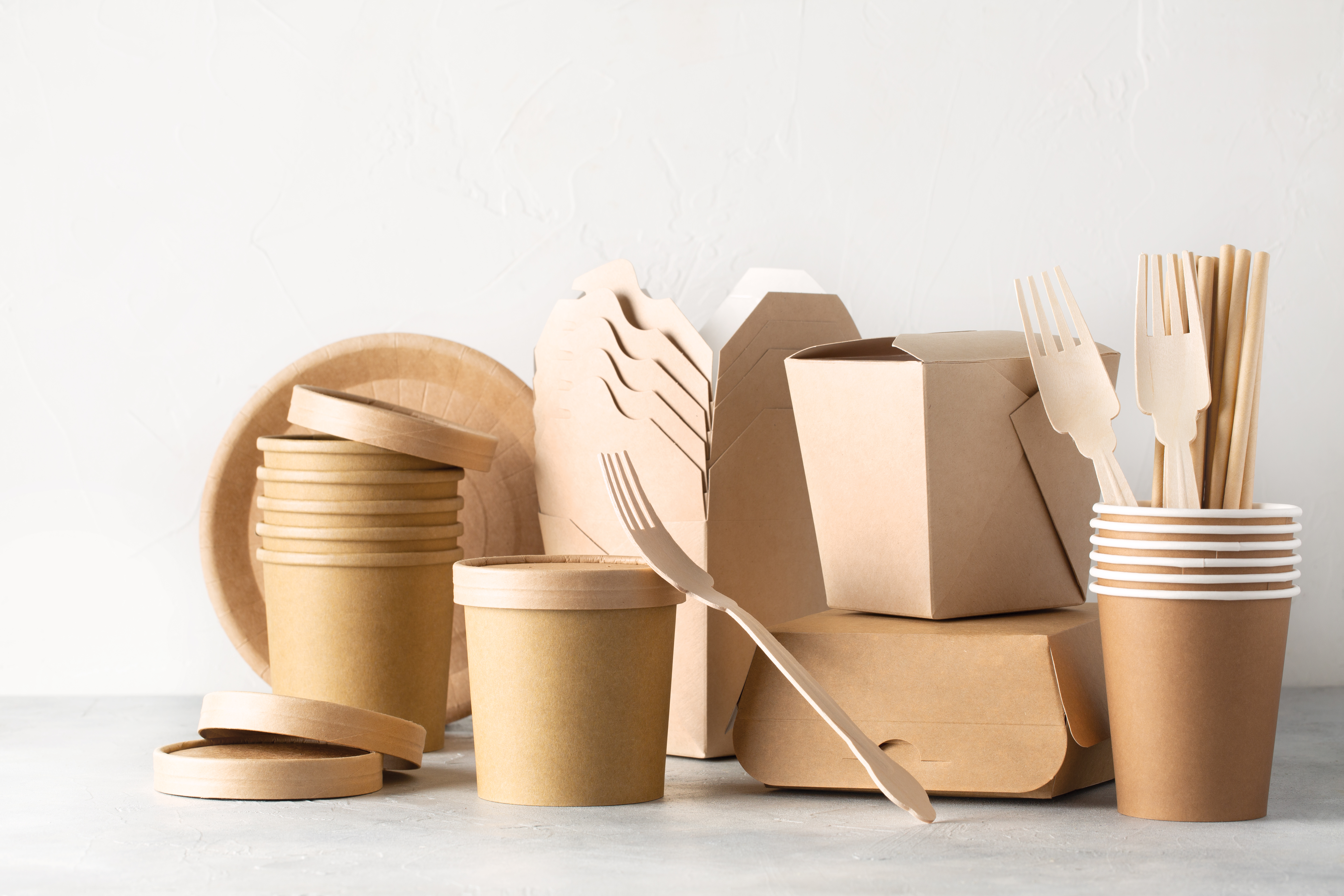 Paper Food Containers and Utensils