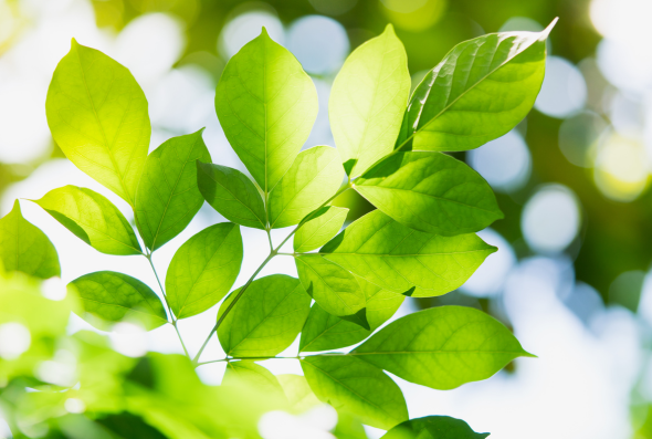 Events_Sustainability