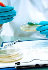 Scientist with petri dishes