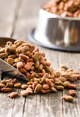 Scoop of dog kibble