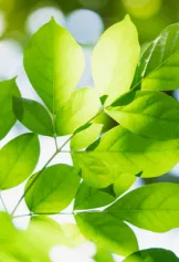 Events_Sustainability