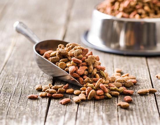 Animal Feed